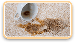 carpet coffee stains