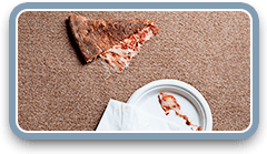 carpet food stains