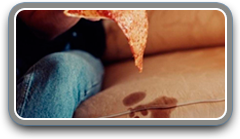 furniture food stains